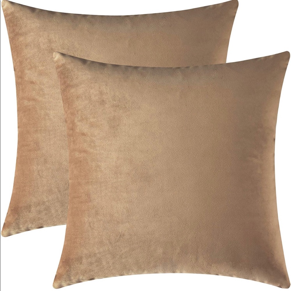 Beige Velvet Pillow Covers